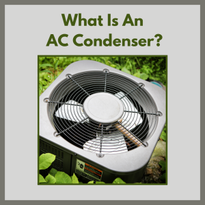 AC Condenser amongst plants in the spring.